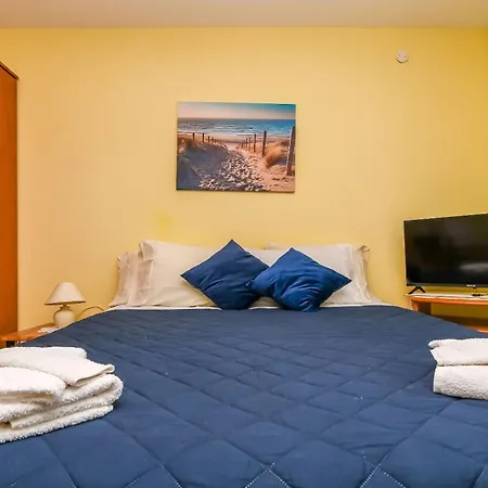 Vanessa تروغير